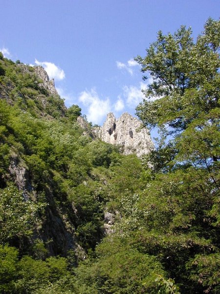 DSCN5556 (web).jpg
